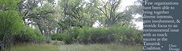 Restored riparian lands by the Colorado River