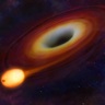 Caught in the Act: A Black Hole Scuttles a Star