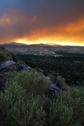 Los Alamos fire