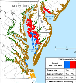 Sea level rise image