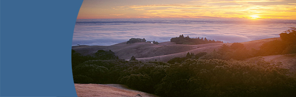 Photo by Dan Heller of Marin Fog rolling over the  hills