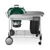 Performer Charcoal Grill