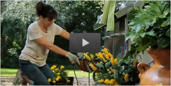 Watch video on creating outdoor living spaces with help from the Home Depot