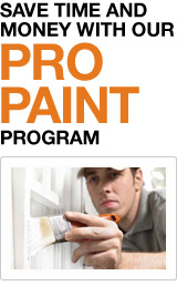 Save Time and Money with Our Pro Paint Program
