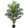 5 Ft. Paradise Palm Silk Tree