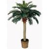 4 ft. Sago Palm Silk Tree