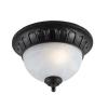 Pacifica Collection Imperial Bronze Finish 1 Light 12 in. Exterior Flush Mount