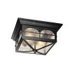 Flushmount 2-Light Outdoor Lantern