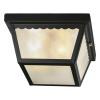 Matte Black 2-Light Outdoor Flushmount