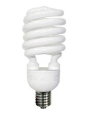 CFL Light Bulbs  