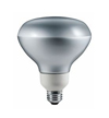 Philips BR30 Flood Bulb