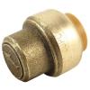 1/2 in. Brass PTC End Stop