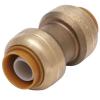 1/2 in. Brass PTC Straight Coupling