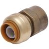 1/2 in. Brass PTC Female Adapter