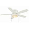 Roanoke 48 in. Ceiling Fan