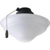 AirPro Forged Black 1-light Ceiling Fan Light