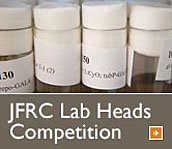Laboratory Head Competition