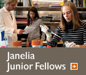 Janelia Junior Fellows