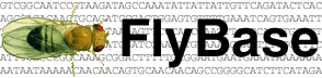 FlyBase Logo