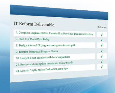 IT Reform Deliverables