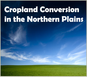 How fast are grasslands being converted to cropland in the United States and especially in the Northern Plains? Can a temporary (5-year) ban on crop insurance purchase for converted grassland slow grassland to cropland conversion? More broadly, what has been the role of crop insurance and other farm programs in grassland to cropland conversion?