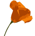 CA Poppy