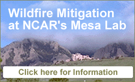 Wildfire Mitigation at NCAR's Mesa Lab