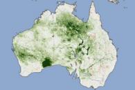 Thick Vegetation Fuels Australia Fires