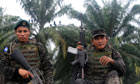 Soldiers partol a palm plantation , Honduras