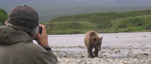 Wildlife Viewing Section Home