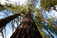 Documenting Climate Change in the Adirondacks