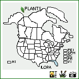 Distribution of Ilex opaca Aiton var. arenicola (Ashe) Ashe. . Image Available. 