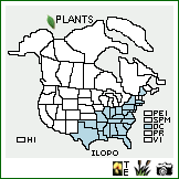 Distribution of Ilex opaca Aiton var. opaca. . Image Available. 