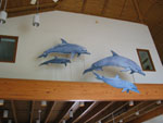 a pod of 4 dolphin models, shown in swimming action, hanging from the Visitor Center rafters