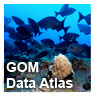 Click or touch to go to the Gulf of Mexico Data Atlas