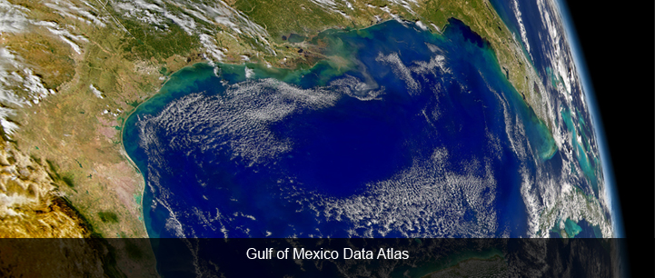 Gulf of Mexico Data Atlas