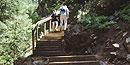 Pine Creek Stairs