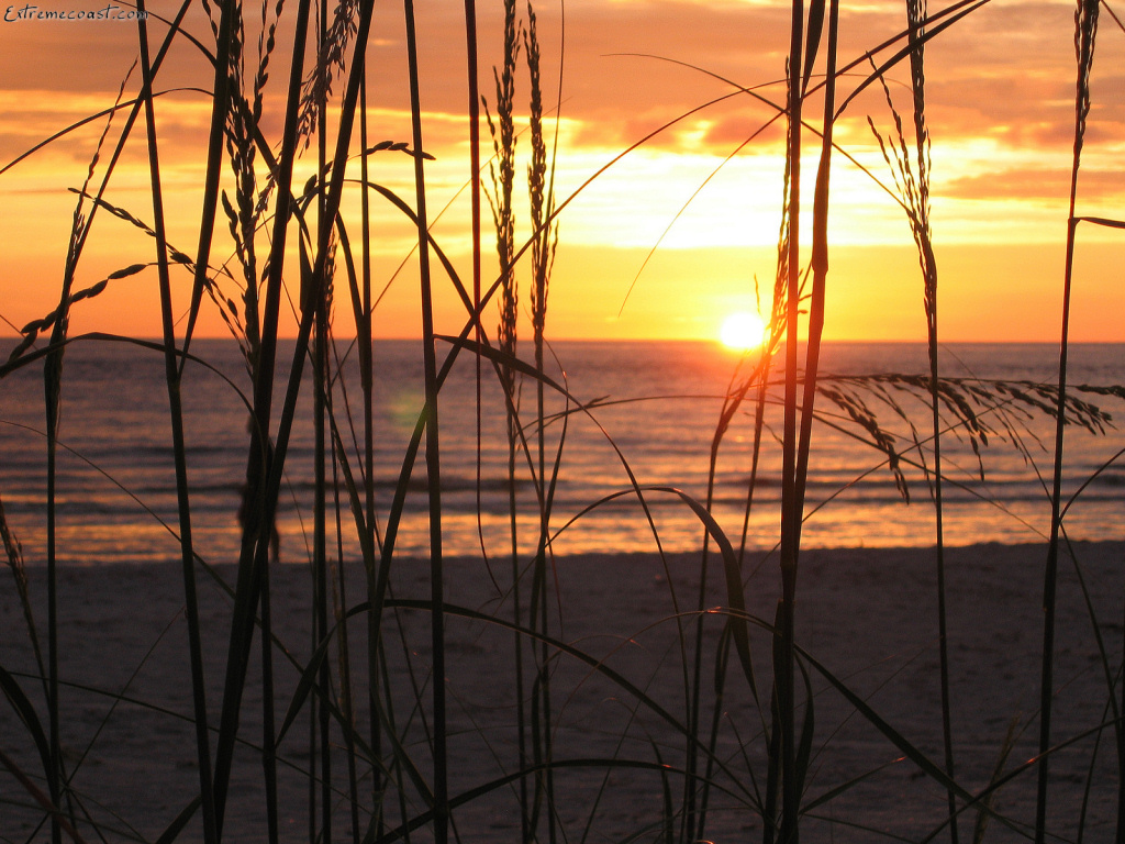 Sunrise on the Gulf of Mexico