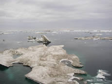 (Photo courtesy of Terry Whitledge, National Oceanic and Atmospheric Administration/Department of Commerce.)