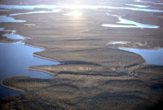 Drumlin field. Manitoba, Canada.