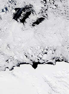 Satellite view of polynyas (dark areas) near Oates Coast, Antarctica (solid white area at bottom of photo). (Photo courtesy of NASA.)