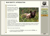 Bear Identification - Introduction Screen