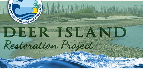 Deer Island Restoration Project
