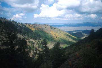 Photograph taken in  the Arc Dome Wilderness