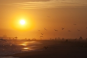 A hot-looking yellow Sun over the ocean, with seagulls in the foreground. 