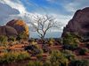 Photo: Arches National Park