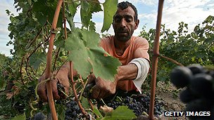 Farm worker in Macedonia