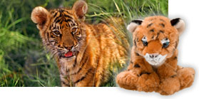 Plush tiger comes with adoption