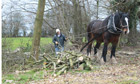 Herefordshire co-operative rescues local woodland to provide green energy