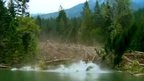 Trees sliding into the water in Canada